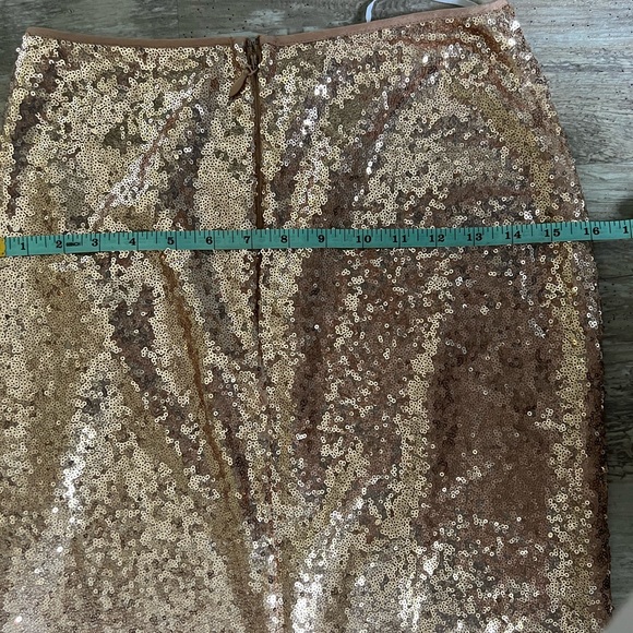 Lulus Sequins Skirt - Picture 7 of 7